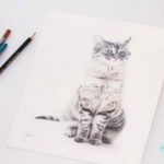 Cómo dibujar un gato como un profesional
