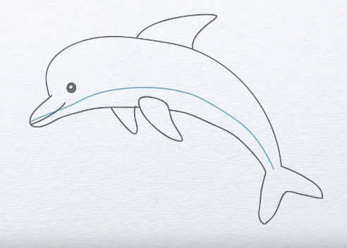 Cómo dibujar delfín en 10 pasos fáciles y divertidos