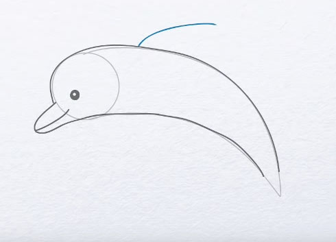 como dibujar un delfin 3d
