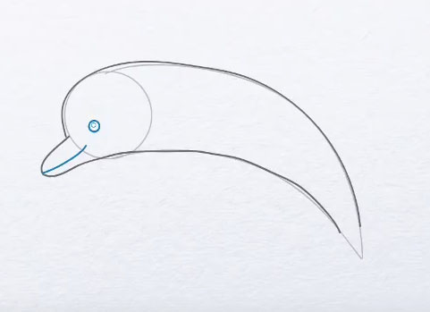 como dibujar un delfin paso-a-paso