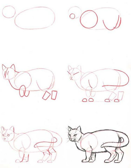 como dibujar un gato a lapiz