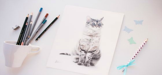 como dibujar un gato