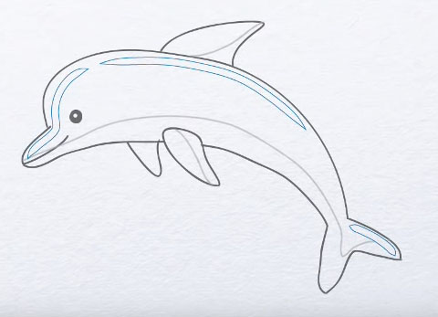 dibujo de delfines